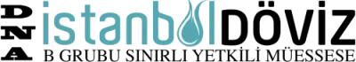 DNA İstanbul Döviz logosu